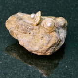 White Pearl Earrings with shell flower design