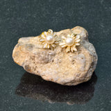 White Pearl Earrings with enamel daisy design